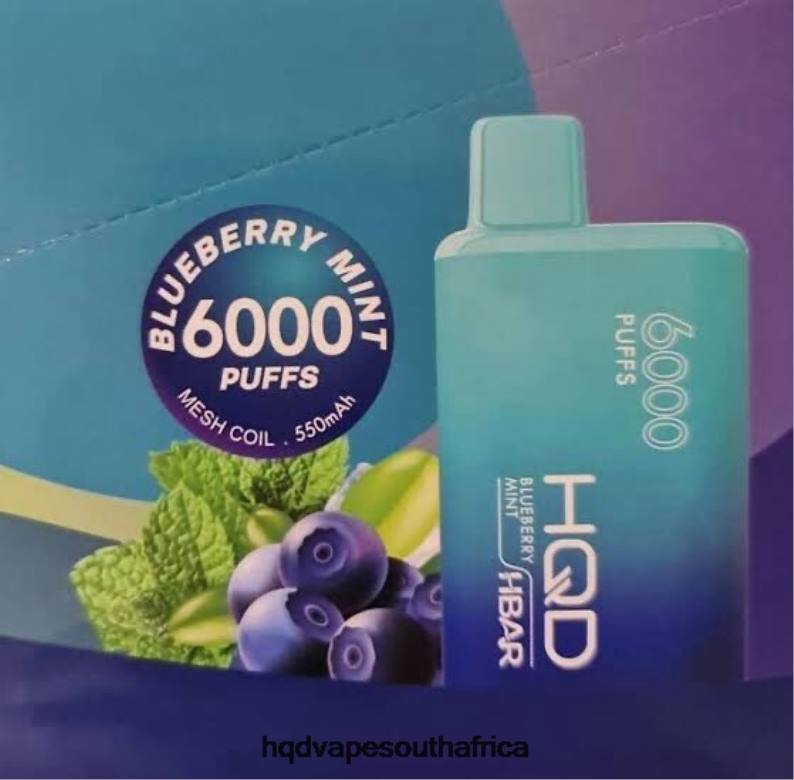 HQD HBAR 6000 PUFFS RLLZ51 Blueberry Mint - HQD Vape Price